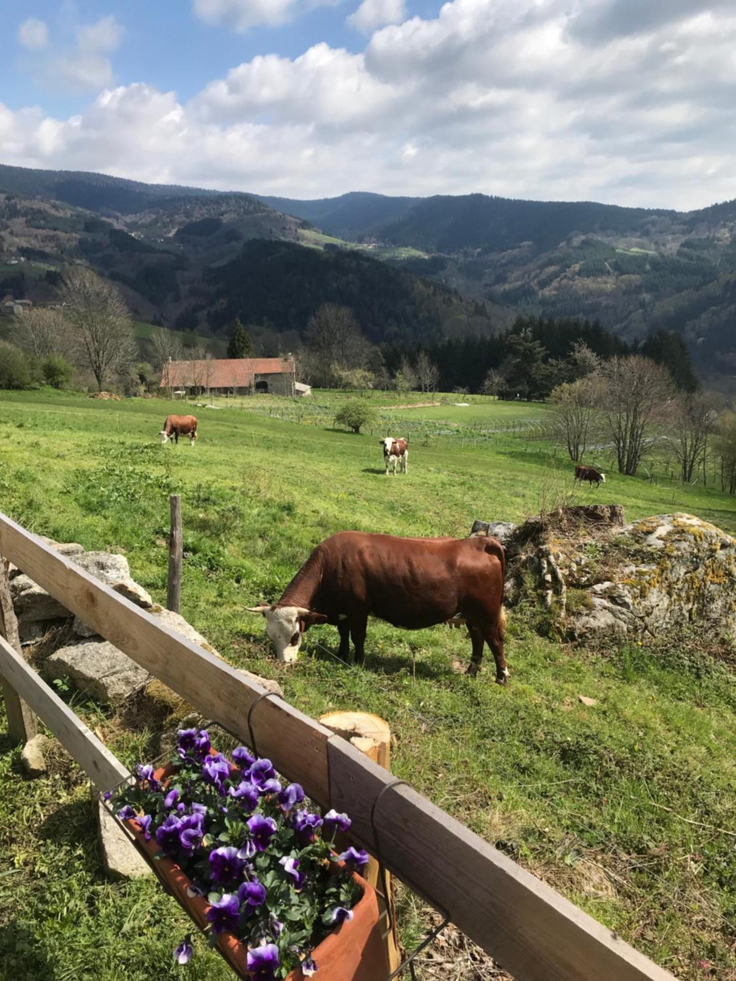La Source D'En Haut Valcivieres Buitenkant foto
