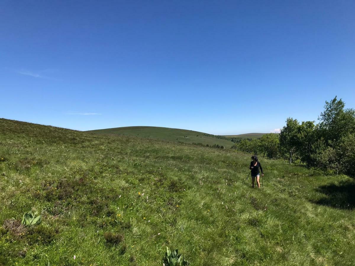 La Source D'En Haut Valcivieres Buitenkant foto