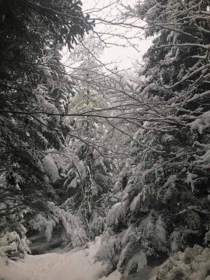 La Source D'En Haut Valcivieres Buitenkant foto